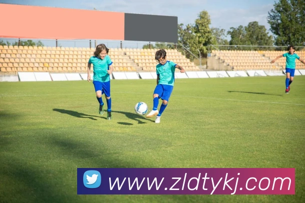 美加墨世界杯：2026年赛程、场馆与门票全攻略
